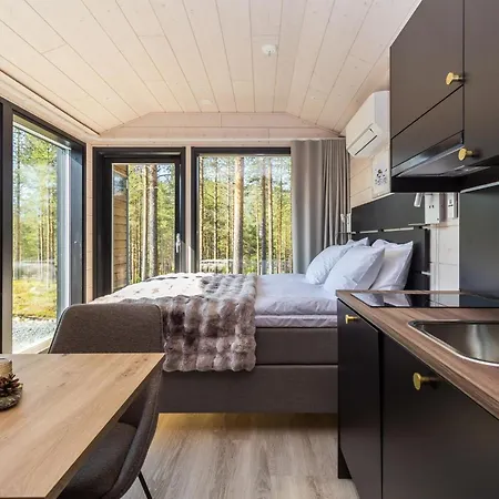 Visit Pyhae H By Interhome Pyhätunturi