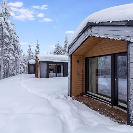 Visit Pyhae H By Interhome Pyhätunturi