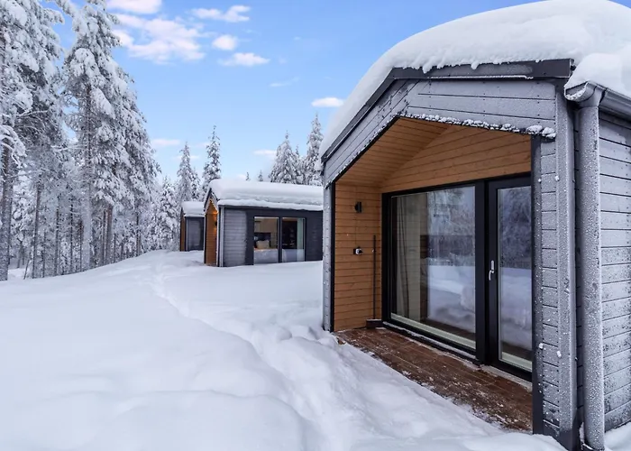 Visit Pyhae H By Interhome Pyhätunturi